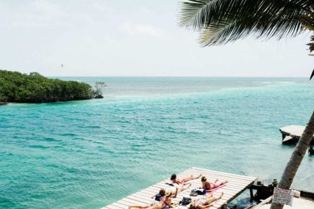 Tiptoe through the Tulips of Washington