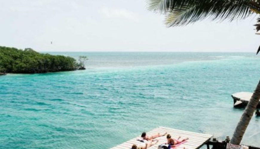 Tiptoe through the Tulips of Washington